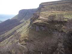 sierrasalvada